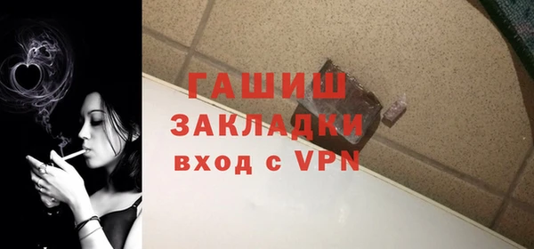 индика Новодвинск